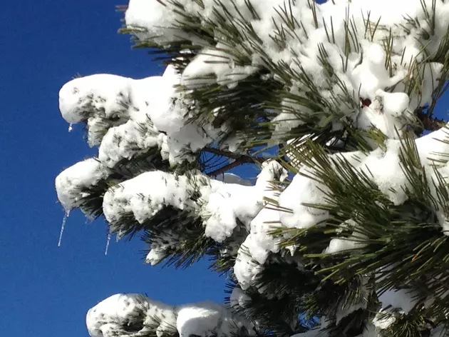 ​Snow May Return to Southeast Wyoming Early Next Week