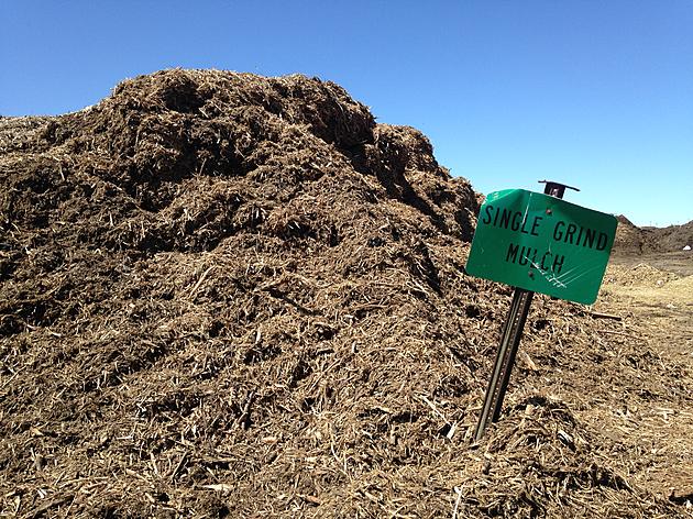 City of Cheyenne Offers Free Wood Chips