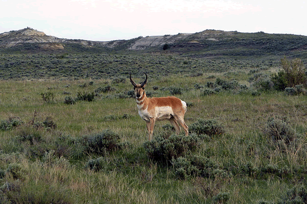 BLM Imposes Fire Restrictions For Central, Northeast Wyoming