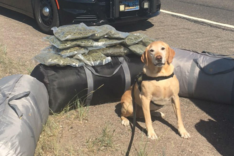 Over 300 Pounds of Pot Seized