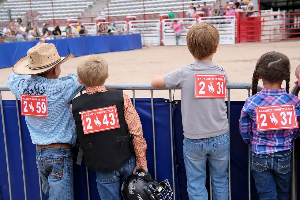 Why We Make A Big Deal About The Laramie County Fair [VIDEO]