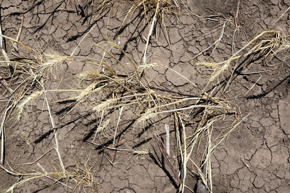 Weather Service: Drought Isn&#8217;t Getting Any Better in Wyoming