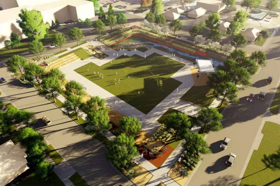 Cheyenne City Council Pushes for Completion of Civic Center Commons [VIDEO]