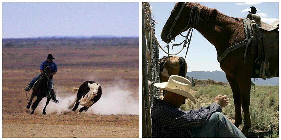 Wyoming and Australia Cowboys and Mythical Creatures Compared