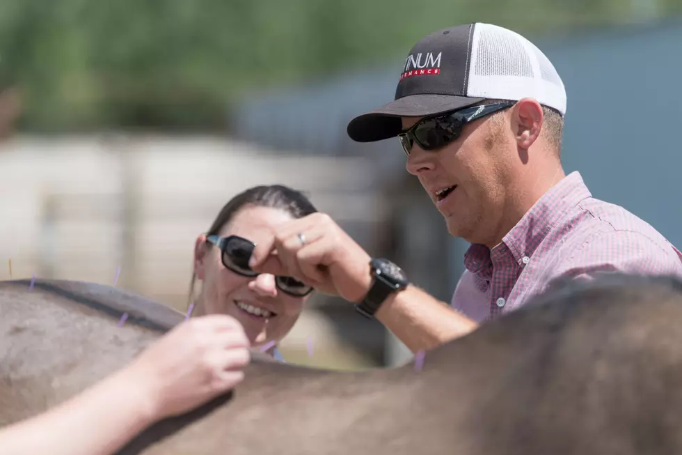 New Partnership Offers Cheyenne Frontier Days Equine Athletes Top Care [PHOTOS]