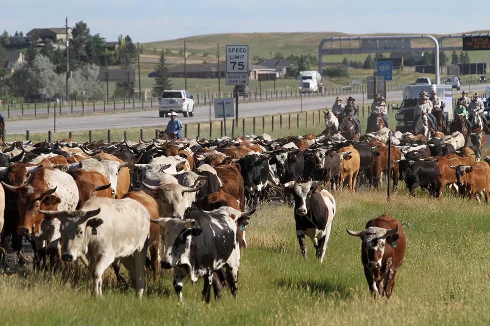 Grazing Projects Designated in 6 States, Including Wyoming
