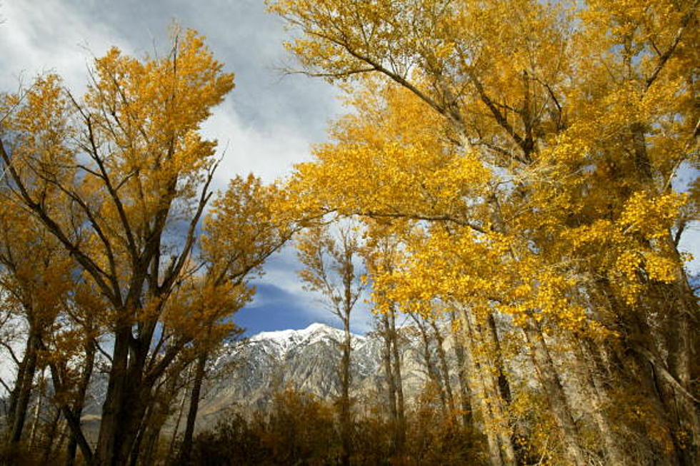 Wyoming Photographers Capture Fall 2017