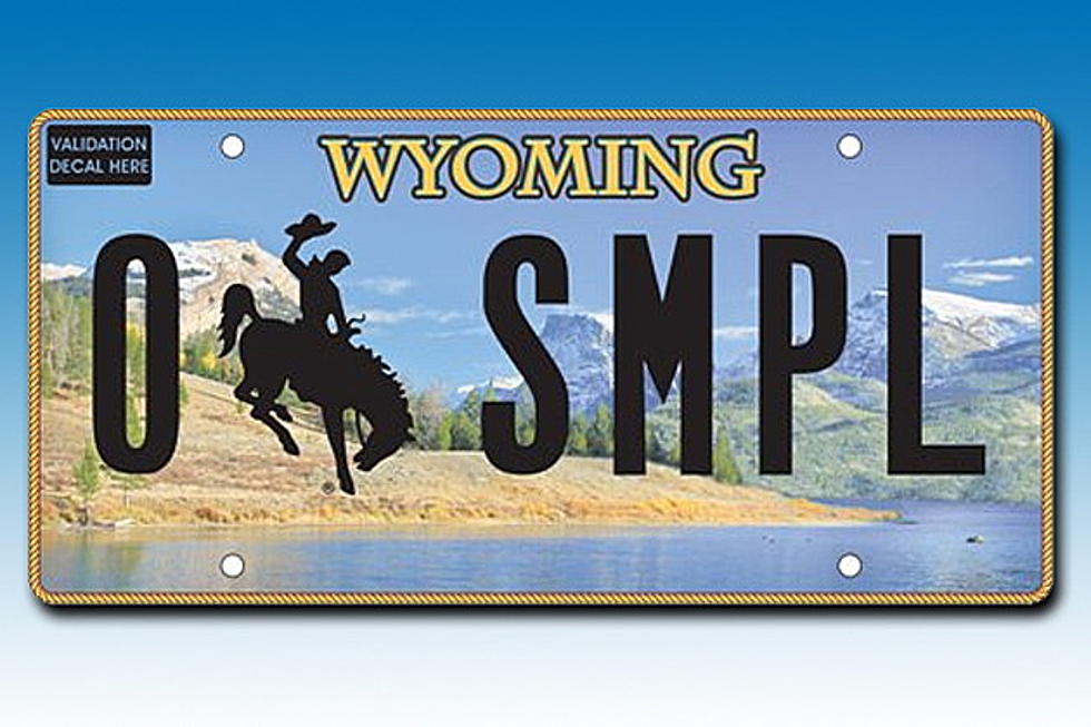 Wyoming Lawmakers To Consider Wildlife Conservation License Plate