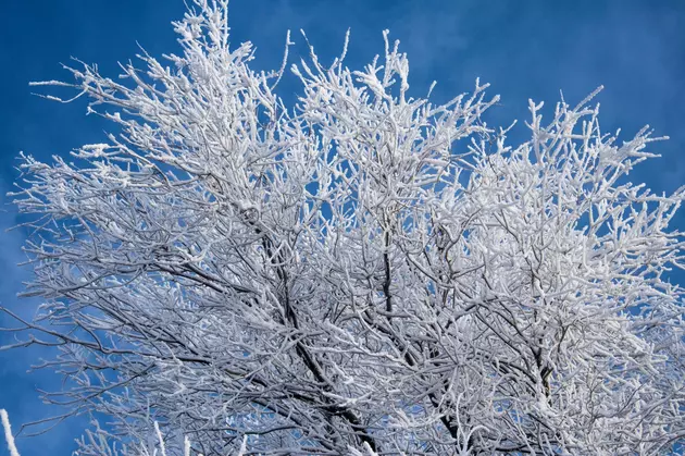 Frost Advisory In Effect For Cheyenne Tonight