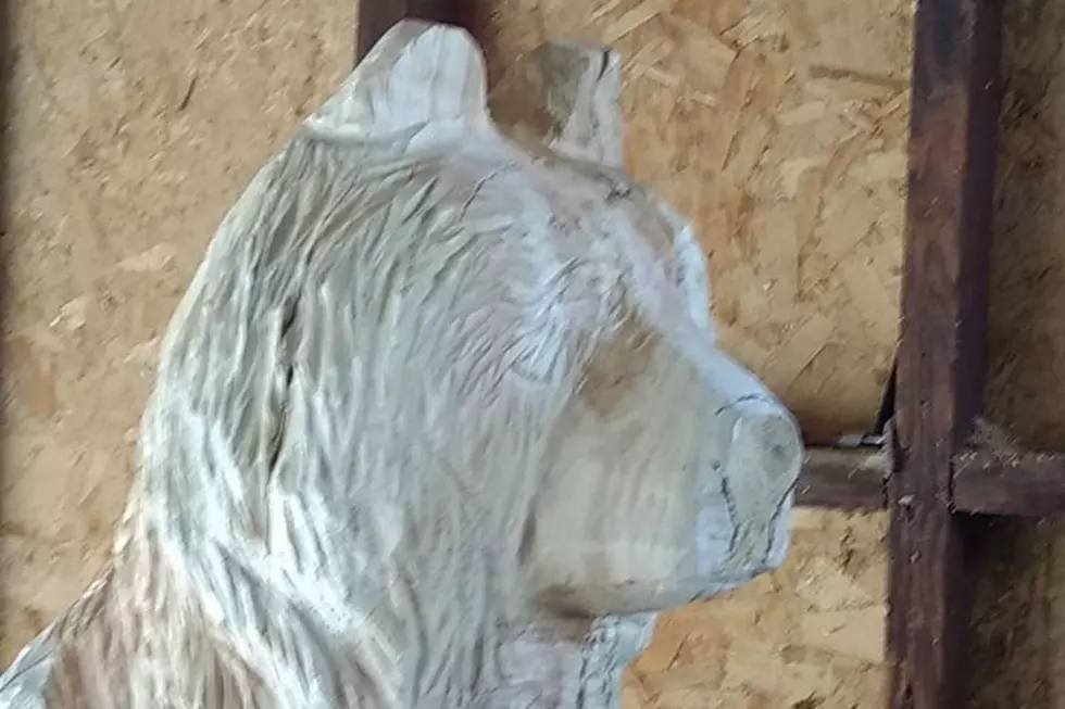 Bear Carving Stolen from South Cheyenne Neighborhood
