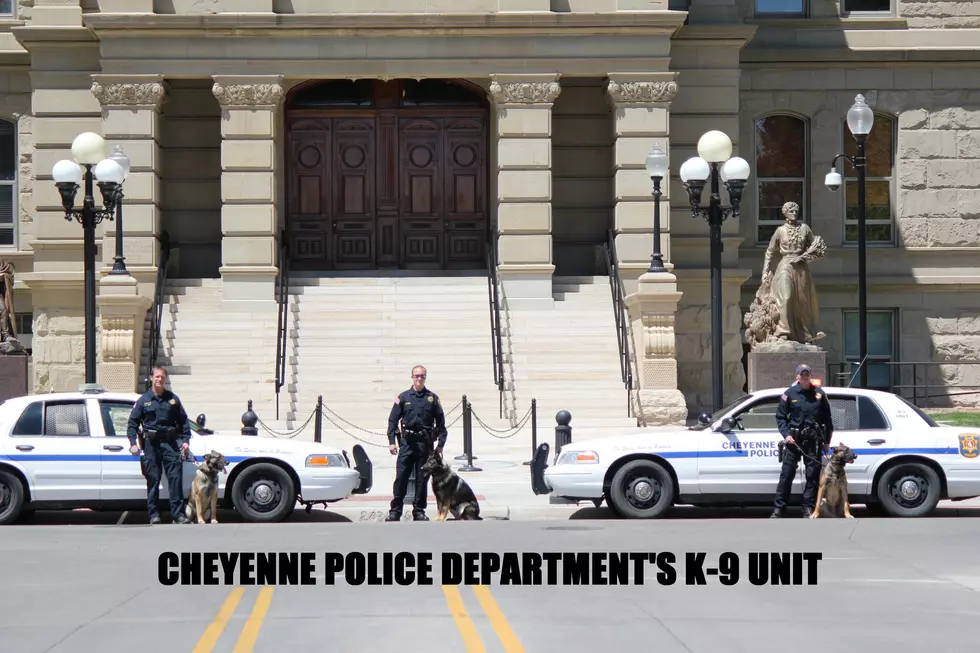 Cheyenne Police Given $20,000 Grant For Police Dog