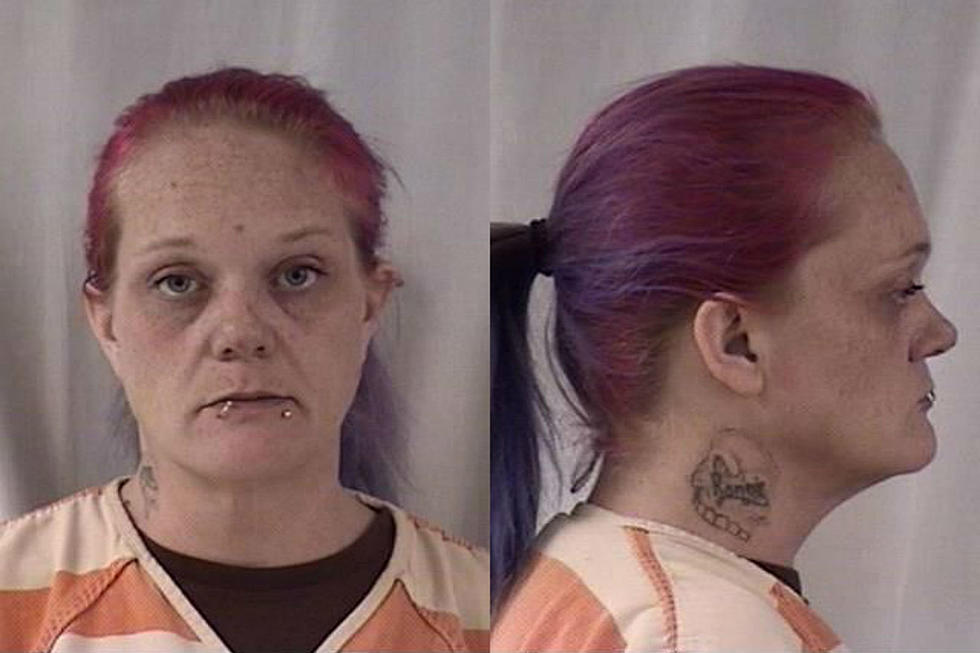 Woman Accused of Selling Meth to Undercover Cop in Wyoming