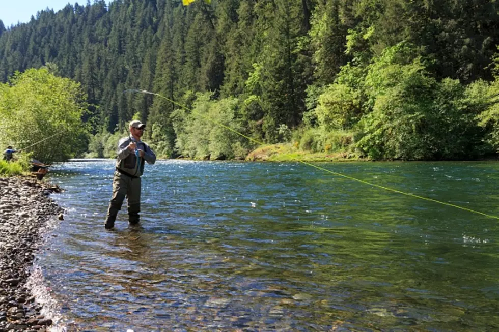 Fly Fishing Film Tour at the Gryphon Theatre