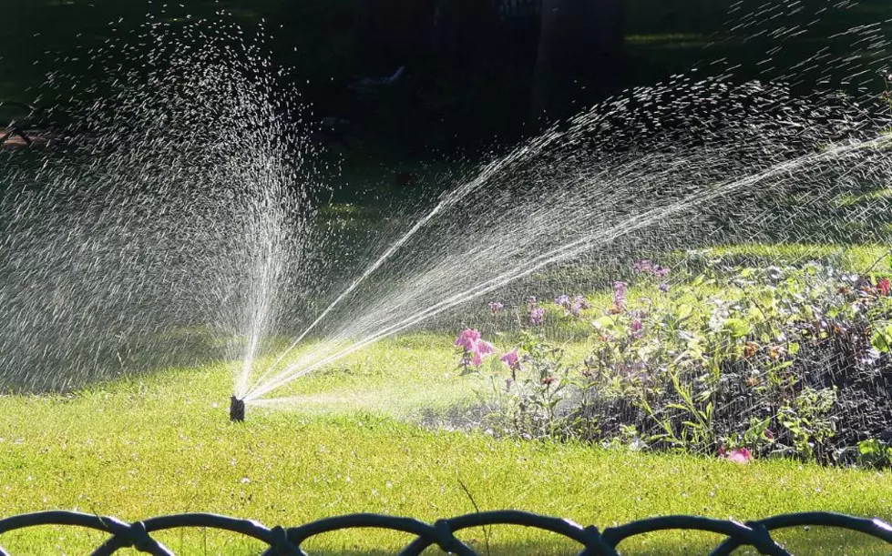 Cheyenne BOPU Reminds Residents Of  Summer Watering Schedule