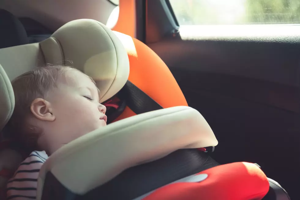 Cheyenne Police Warn of Dangers of Leaving Kids, Pets in Hot Cars