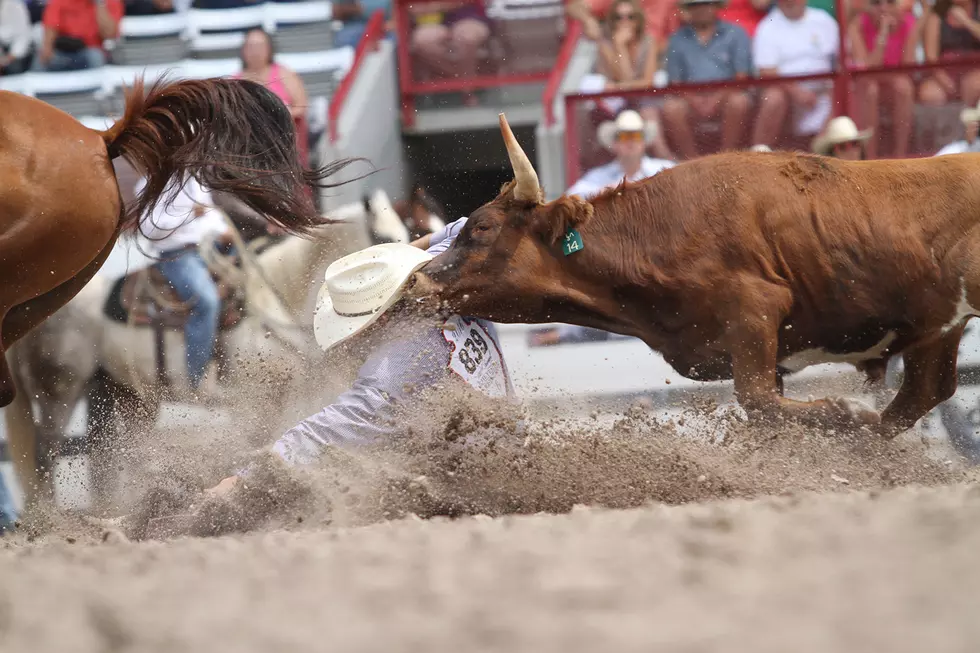 Cheyenne Frontier Days Standings After July 26 Action