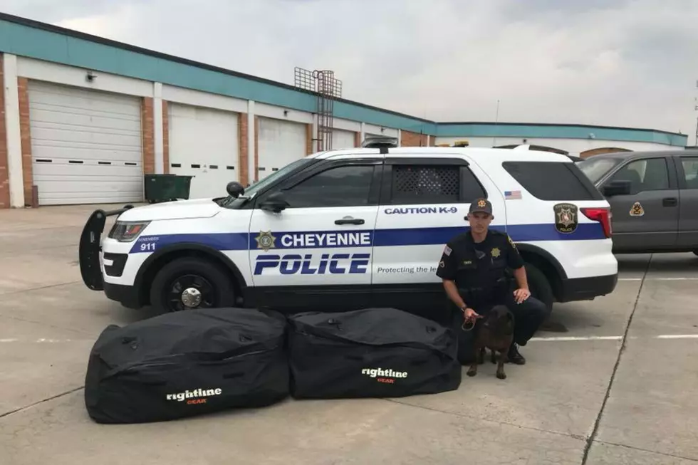 121 Pounds of Marijuana Seized in Cheyenne Traffic Stop