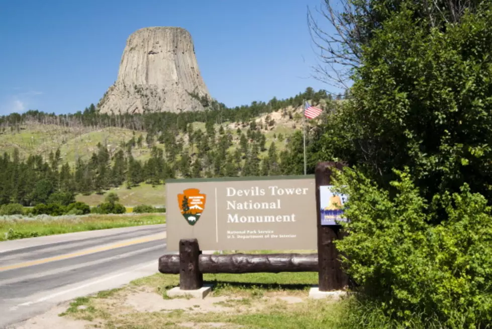 As Young Falcons Move Out Devil’s Tower Climbing Re-Opens