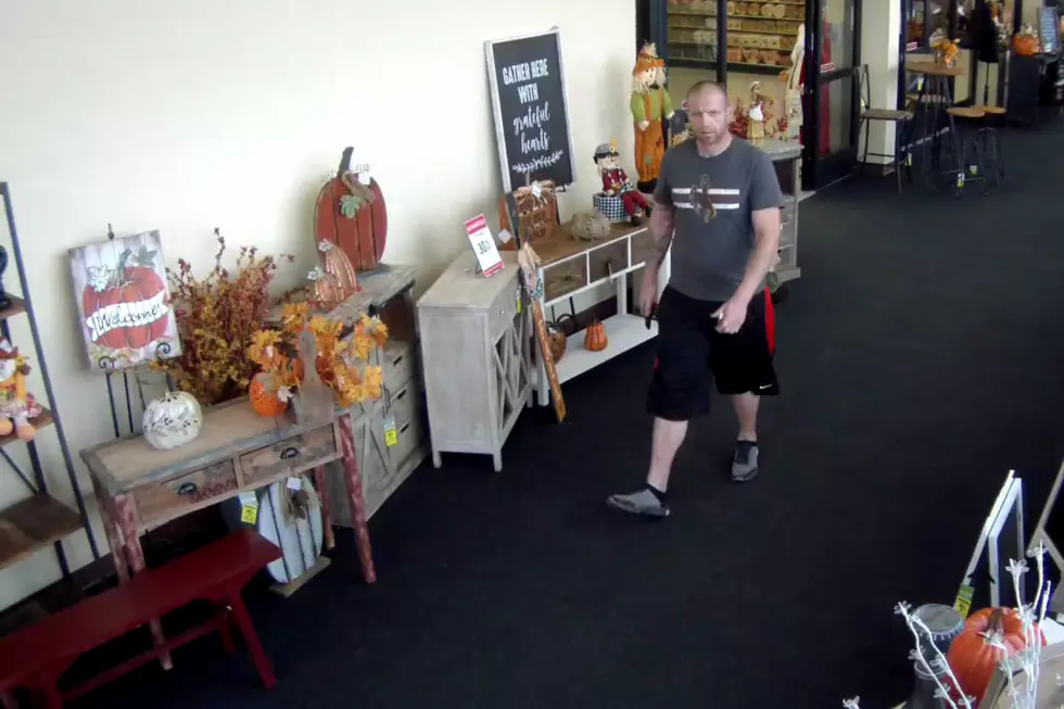 Bob Ross Wannabe Steals $700 in Oil Paints from Cheyenne Store [PHOTOS]