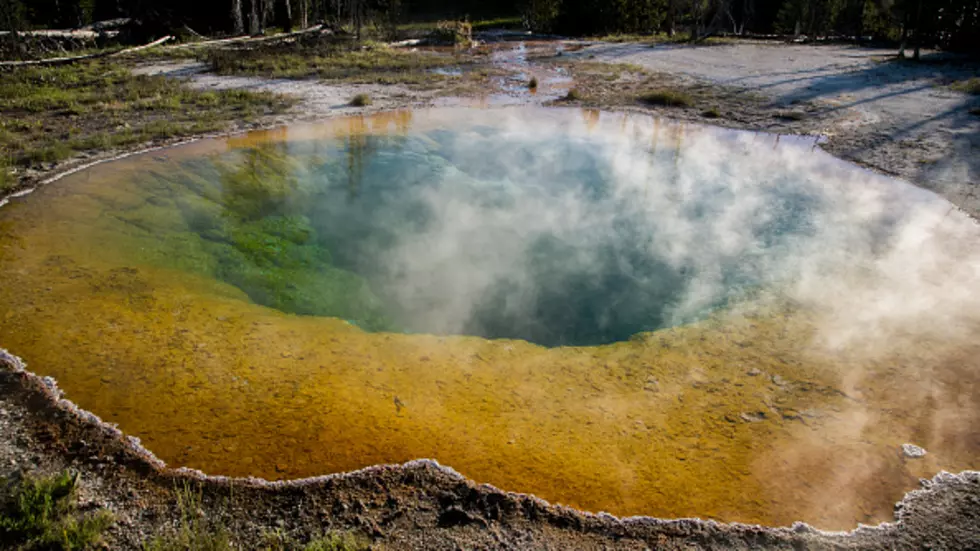 BBC Yellowstone Documentary Is Amazing [VIDEOS]
