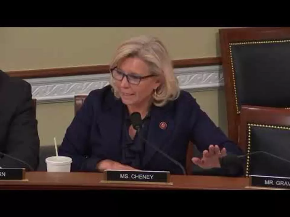 Glenn Says: Liz Cheney Stumps Green New Dealers With One Question