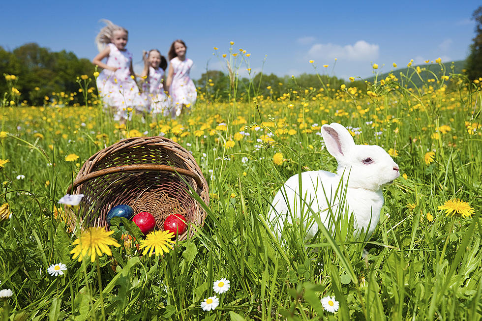 Wyoming’s Most Popular Easter Recipe Has ‘Cowboy’ In Its Name