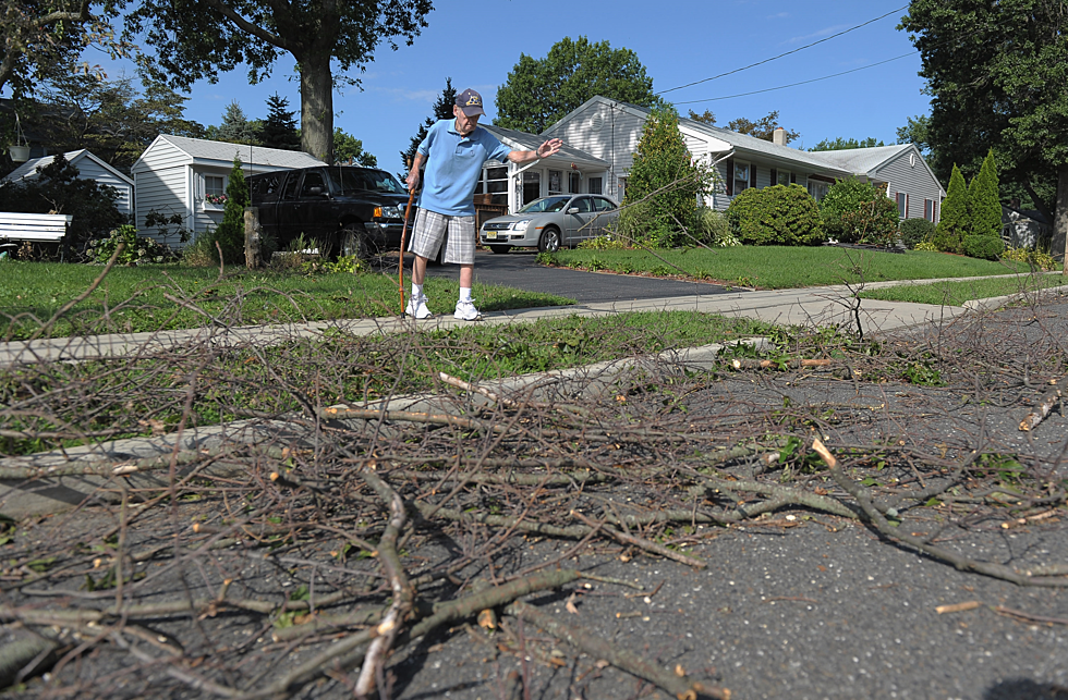 City Issues Tree Branch Reminder