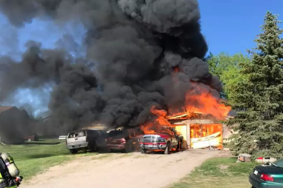 Cheyenne Fire Crews Battle House Fire While Saving Dogs, Reptiles