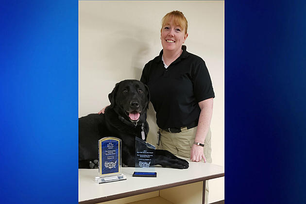 Wyoming K9 Team Earns Top Dog Award in Regional Trials