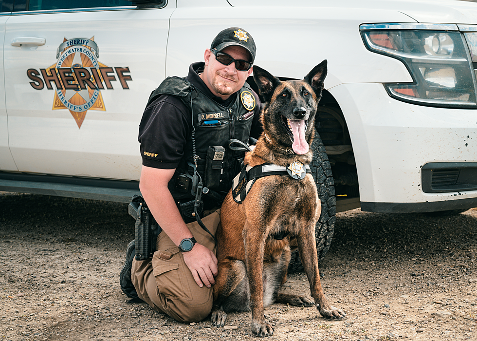 Police K-9 Recognized With &#8216;Heroic Dog Award&#8217; For Child Rescue