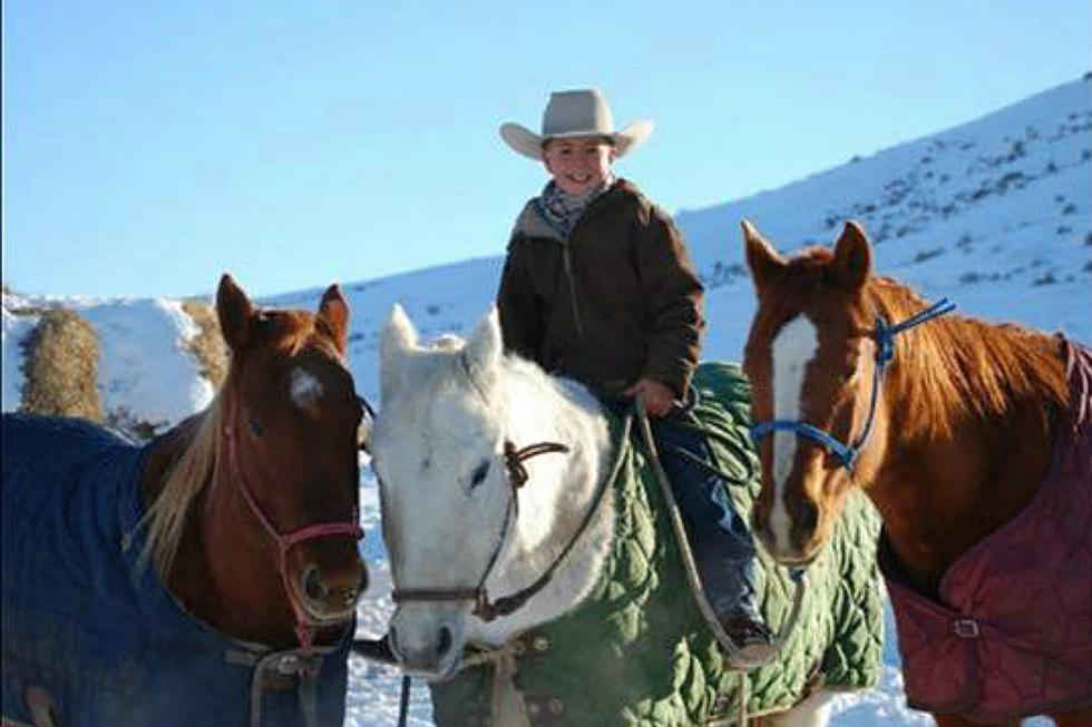 Wyoming Boy Reunited With Missing Horses