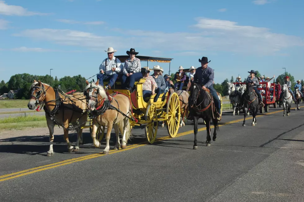CFD Cattle Drive Kicks Off Frontier Days