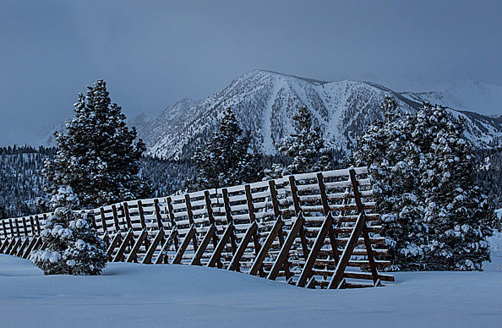 Several Inches of Snow Expected In Snowy Range, Sierra Madre