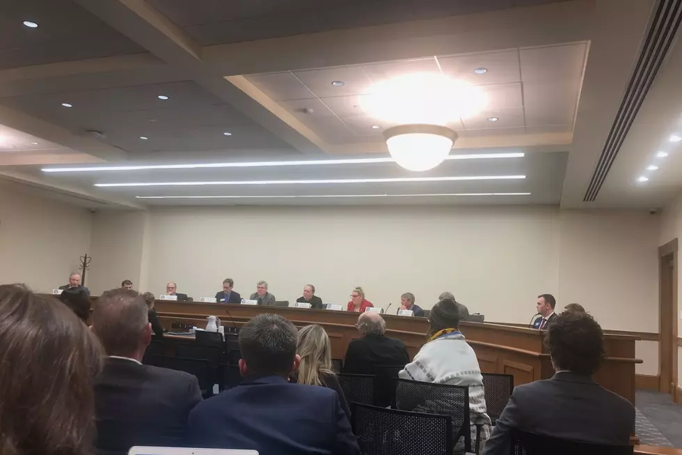 Wyoming House Committee Votes For Abortion Waiting Period Bill