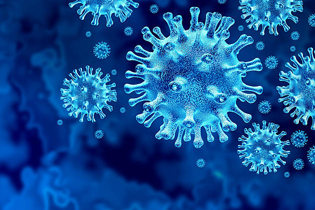 Wyoming Reports 50th Coronavirus-Related Death