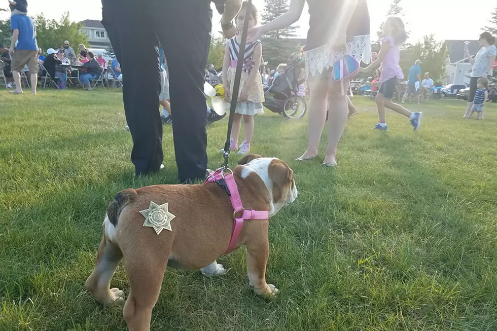 Cheyenne Neighborhood Night Out Still On Despite COVID-19