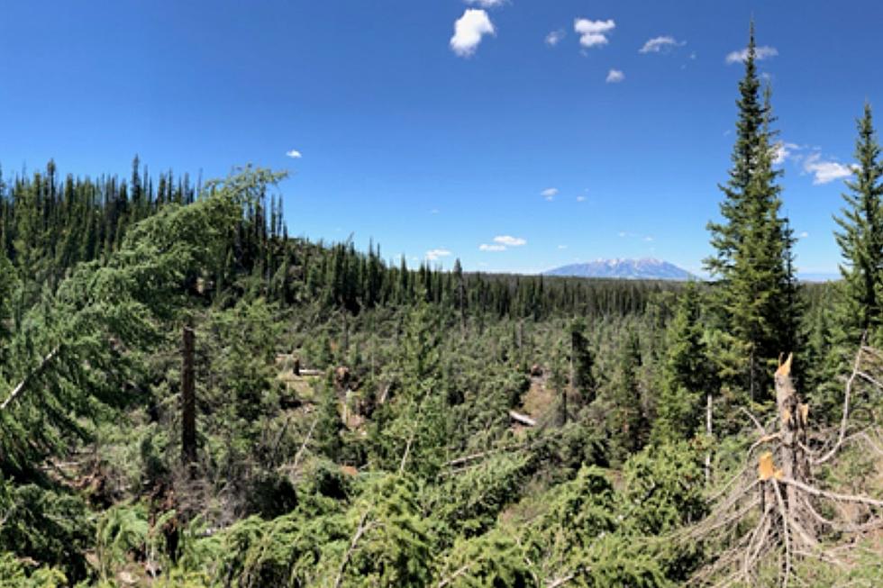 Cheyenne NWS Confirms June 6 Tornado In Snowy Range