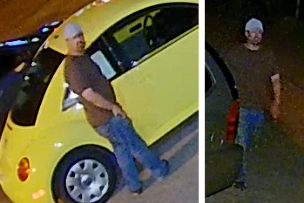 Cheyenne Police Looking to Identify Suspected Car Antenna Thief