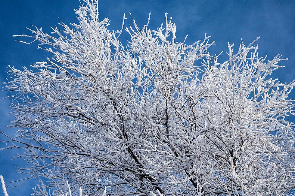 Freezing And Near-Freezing Temps Seen In Wyoming Overnight