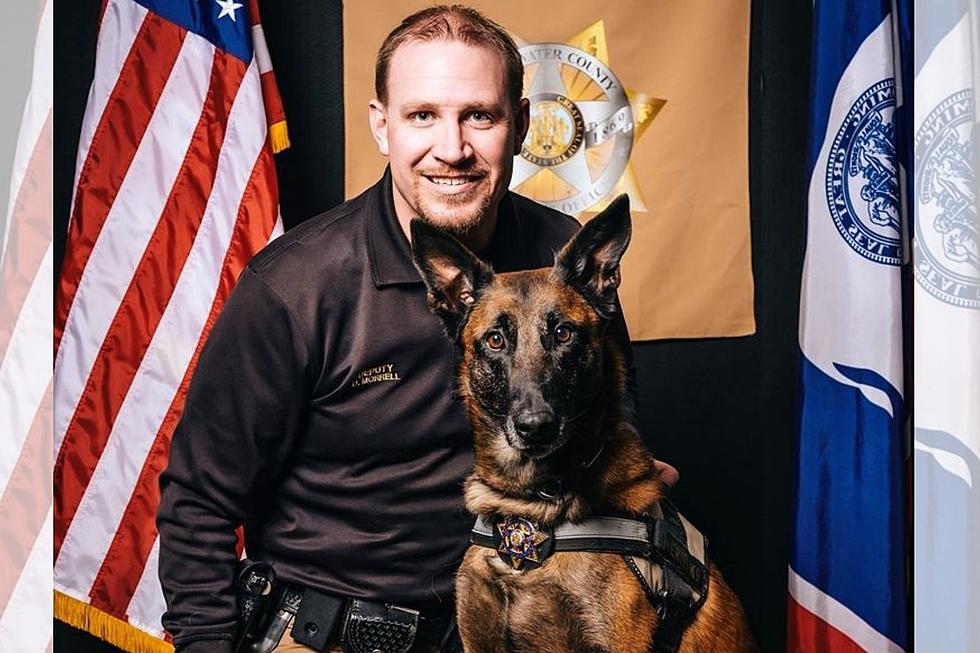 Wyoming Deputy And Police Dog To Be Honored On Dr. Phil Show