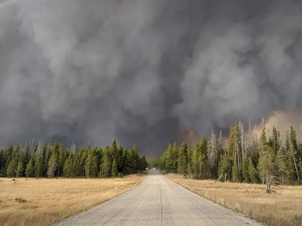 Mullen Fire Now 34 Percent Contained, But Windy Weather A Concern