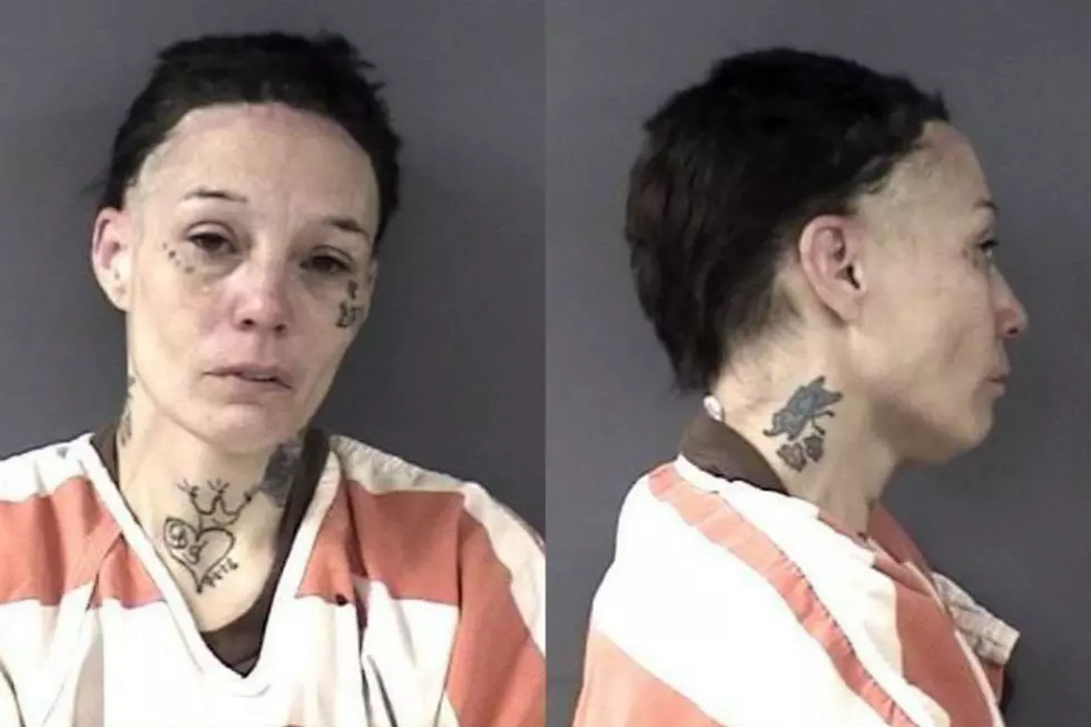Woman Pleads Guilty in Cheyenne Police Chase, Gets 150 Days