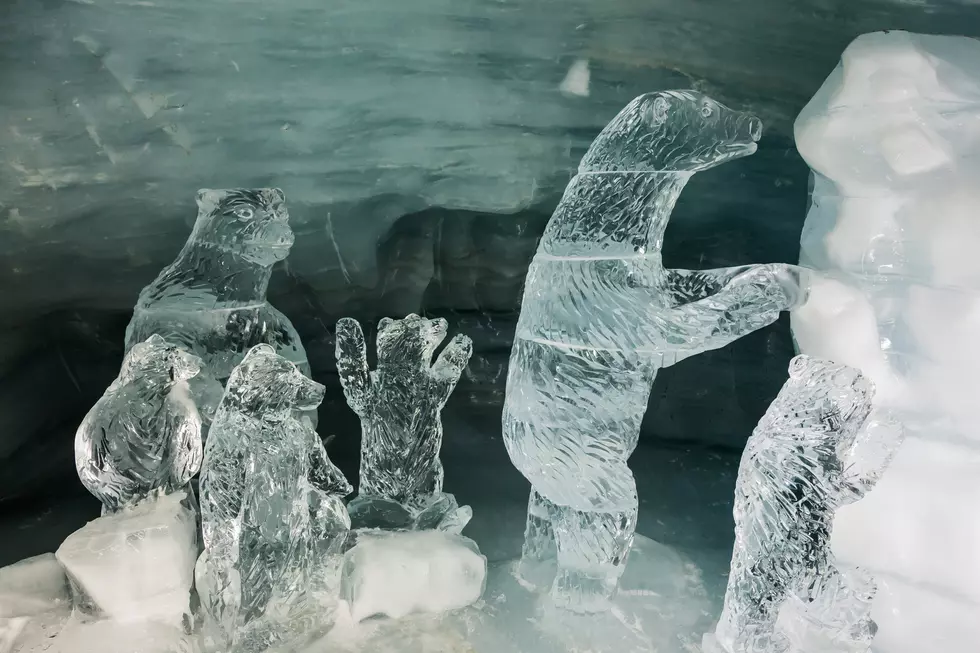 Ice Sculpting Competition Draws Crowds in Downtown Gillette