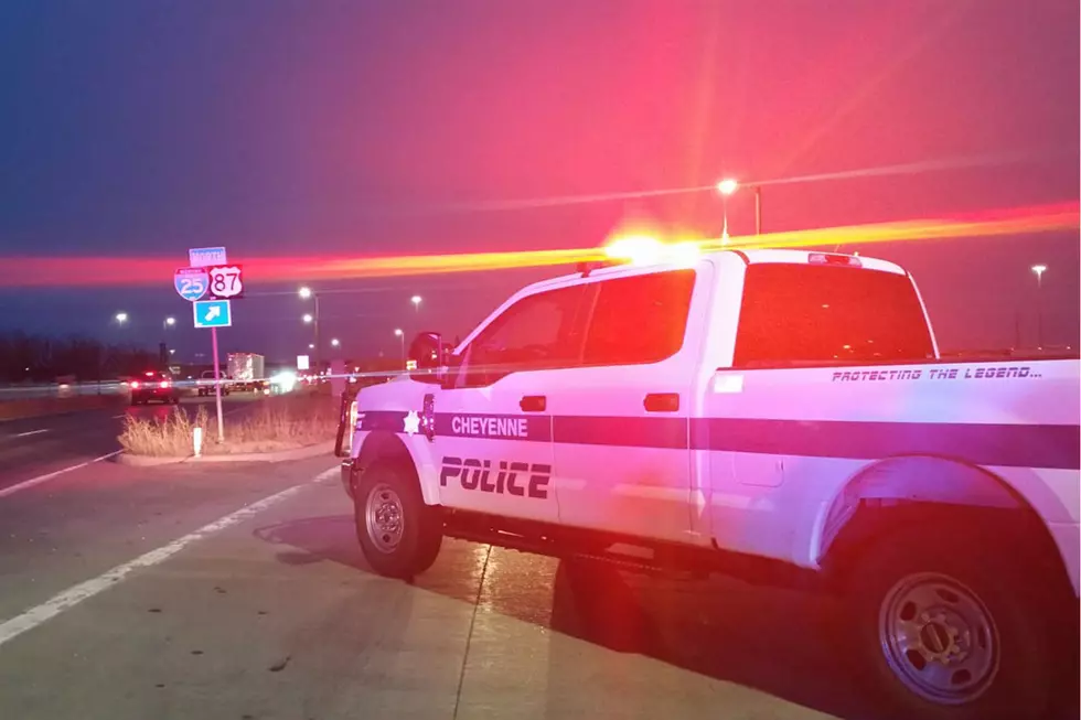 20 Cows Killed After Truck Crashes on I-25 On-Ramp in Cheyenne