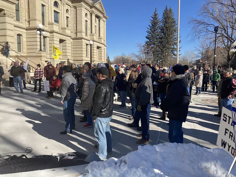 Rally Held At Wyoming Capitol Against State Health Mandates