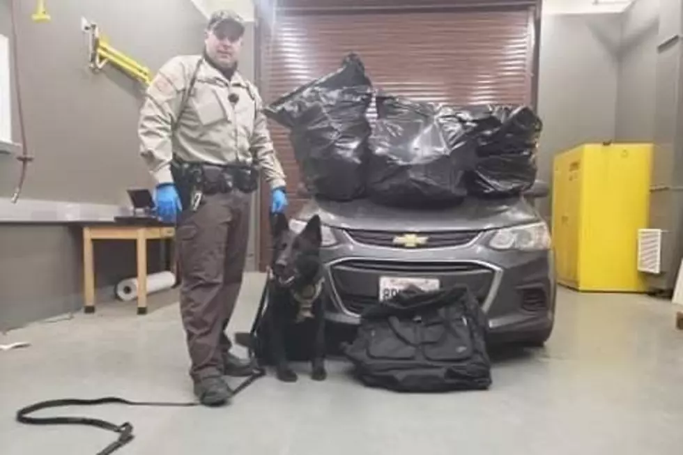 Laramie County K-9 Sniffs Out 100 Pounds of Weed During I-80 Stop