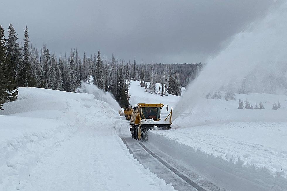 WYO 130 Over Snowy Range Pass Reopens After Annual Winter Closure