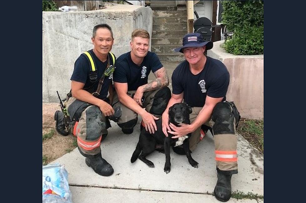 Firefighters Rescue Dog From Burning Fourplex in East Cheyenne