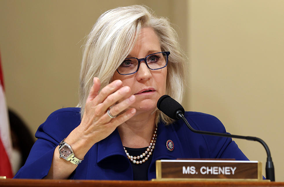Cheney Co-Sponsors Legislation Prohibiting IRS Financial Surveillance