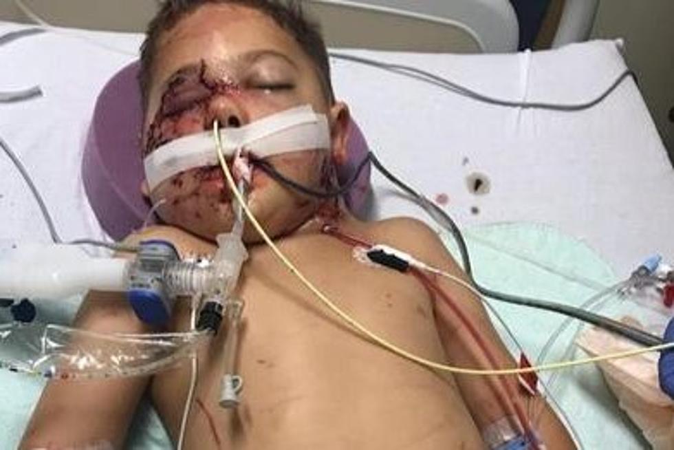 $20K Raised for Cheyenne Boy Who Was Viciously Attacked by Dog